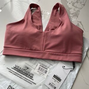 Whitney Simmons gymshark pink haze sports bra